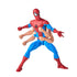 Marvel Legends Series Spider-Man vs Morbius Action Figure 2-Pack (F7052) LOW STOCK