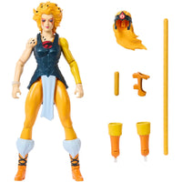 Masters of the Universe X Thundercats (W1) - Cheetara Action Figure (JFW94)