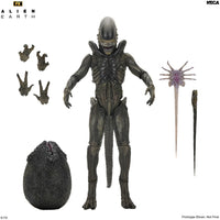[PRE-ORDER] NECA - Alien Earth Ultimate Xenomorph Action Figure (51756)
