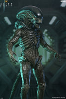 [PRE-ORDER] NECA - Alien Earth Ultimate Xenomorph Action Figure (51756)