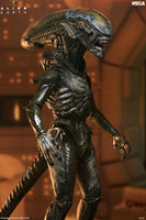 [PRE-ORDER] NECA - Alien Earth Ultimate Wendy's Xenomorph Action Figure (51756)
