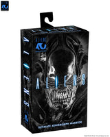 [PRE-ORDER] NECA - Aliens (1986) 40th Anniversary - Ultimate Xenomorph Warrior (Blue) Action Figure (51647)