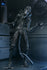 [PRE-ORDER] NECA - Aliens (1986) 40th Anniversary - Ultimate Xenomorph Warrior (Blue) Action Figure (51647)