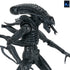 [PRE-ORDER] NECA - Aliens (1986) 40th Anniversary - Ultimate Xenomorph Warrior (Blue) Action Figure (51647)