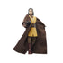 Star Wars: The Black Series - The Acolyte - Jedi Master Sol Action Figure (G0013) LOW STOCK