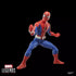 Marvel Legends Series - Spider-Man (TV 77) Exclusive Action Figure (G0590)