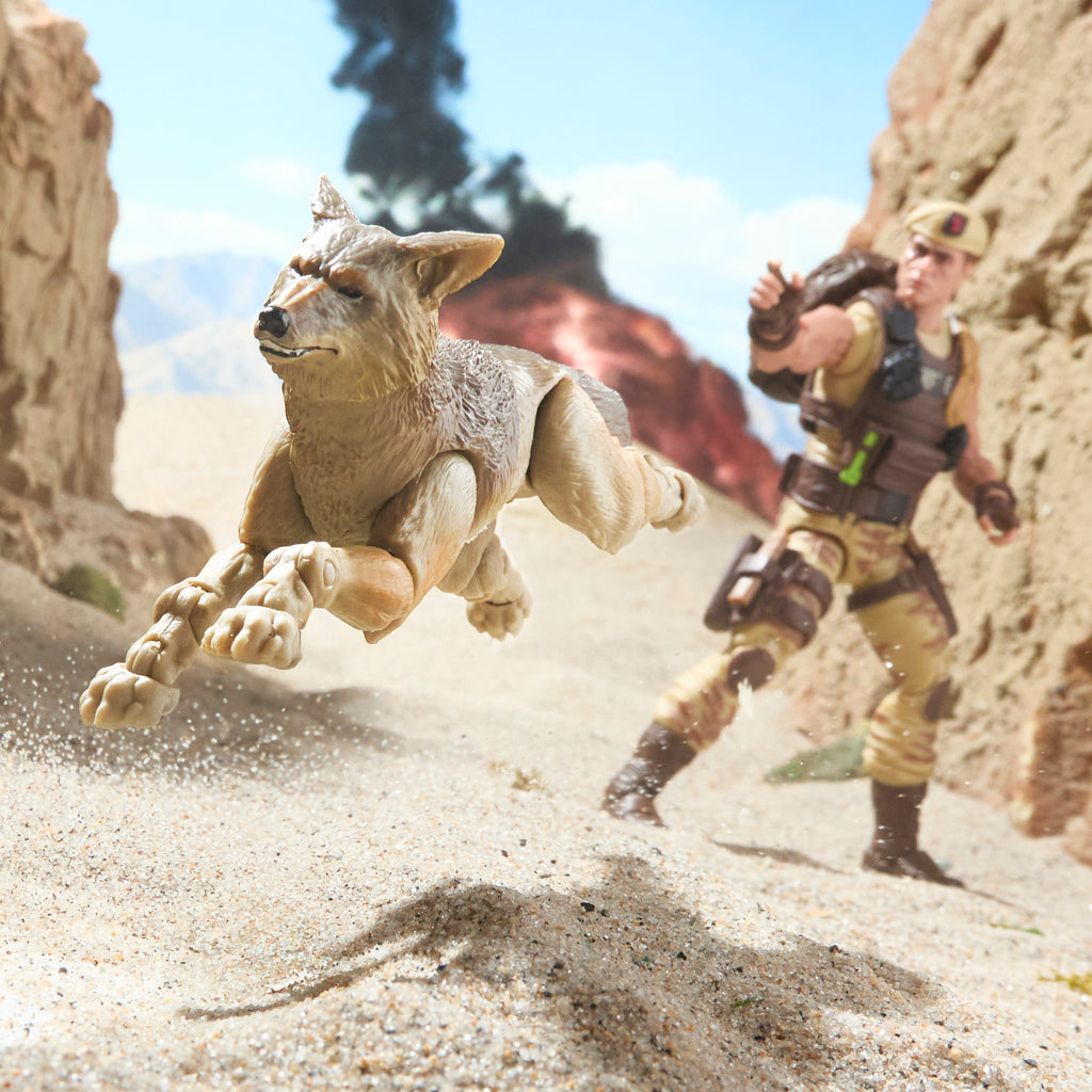 [PRE-ORDER] G.I. Joe: Classified Series #217- Dusty & Coyote Sandstorm Action Figure and Pet Set (G2027)