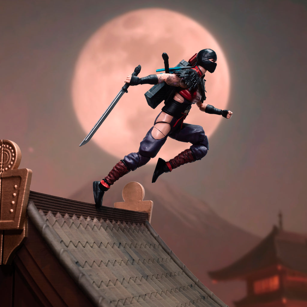 [PRE-ORDER] G.I. Joe: Classified Series #223 - Ninja Force Snake Eyes & Kim Jinx Arashikage 2-Pack Set (G2047)