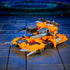 [PRE-ORDER] Transformers: Age of the Primes - Leader Class Herald of Unicron Action Figure (G2784)