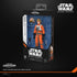[PRE-ORDER] Star Wars: The Black Series - A New Hope - Luke Skywalker (X-Wing Pilot) Action Figure (G4520)