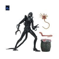 [PRE-ORDER] NECA - Aliens (1986) 40th Anniversary - Ultimate Xenomorph Warrior (Black) Action Figure (51796)