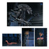 [PRE-ORDER] NECA - Aliens (1986) 40th Anniversary - Ultimate Xenomorph Warrior (Black) Action Figure (51796)