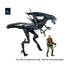 [PRE-ORDER] NECA - Aliens (1986) - Ultra Deluxe Queen Action Figure (51800)