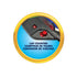 NKOK SART Sonic the Hedgehog & Shadow: All-Stars Racing Transformed Super RC Slot Car Race Set 00622 LOW STOCK