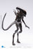 Hiya Toys - Alien Resurrection - Lead Alien Warrior PX Exclusive 1:18 Scale Action Figure (20151)