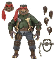 TMNT Raphael & Donatello 1/6 scale action figures — Tenacious Toys®