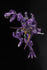 [PRE-ORDER] Flame Toys - Transformers Furai Model - Beast Megatron Action Figure (51660)