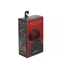 NECA - Alien: Romulus (2024) - Ultimate Xenomorph XX121 (Big Chap) 7-inch Action Figure (NE51742) LOW STOCK