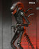 NECA - Alien: Romulus (2024) - Ultimate Xenomorph XX121 (Big Chap) 7-inch Action Figure (NE51742) LOW STOCK