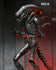 NECA - Alien: Romulus (2024) - Ultimate Xenomorph XX121 (Big Chap) 7-inch Action Figure (NE51742) LOW STOCK