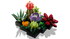 LEGO Icons - Botanical Collection - Succulents (10309) Building Set LOW STOCK