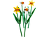 LEGO Icons - Botanical Collection - Daffodils Building Toy (40646) LOW STOCK