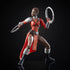 Marvel Legends - Okoye Series - Marvel's Nakia Action Figure (E1574)