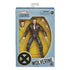 Marvel Legends - X-Men 20th Anniversary - Wolverine Action Figure (E9283) LAST ONE!