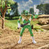 Mighty Morphin Power Rangers - Retro-Morphin Power Rangers - Green Ranger Tommy Action Figure (F0546) LOW STOCK