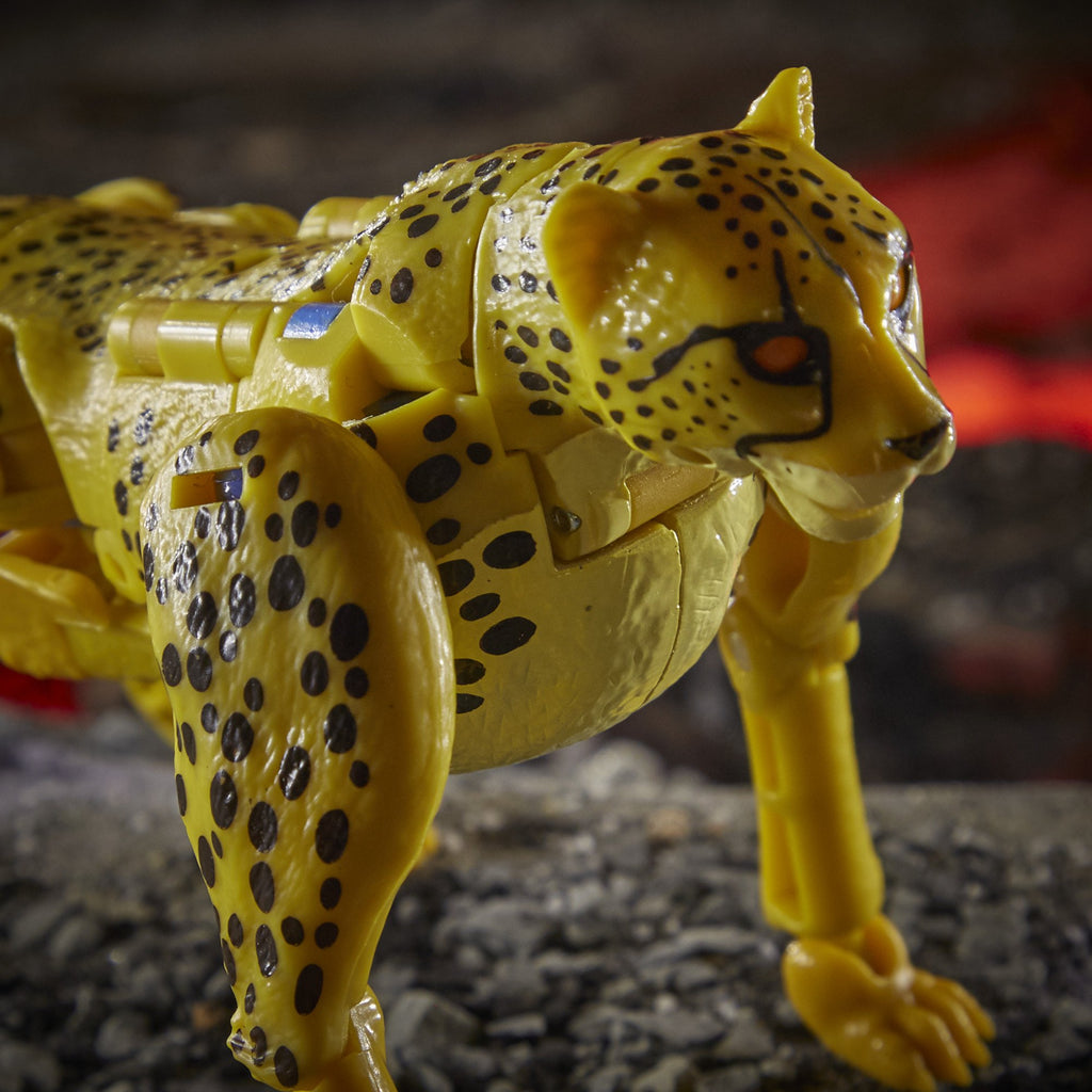 Transformers - War for Cybertron: Kingdom WFC-K4 Cheetor Deluxe Action Figure (F0669) LAST ONE!