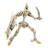 Transformers - War for Cybertron: Kingdom WFC-K25 Deluxe Wingfinger Action Figure (F0679)