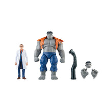 Marvel Legends Series - Avengers 60th Anniversary - Gray Hulk and Dr. Bruce Banner Action Figure (F7084) LAST ONE!