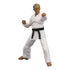 Icon Heroes - SDCC 2021 - Karate Kid Johnny Lawrence Cobra Kai Dojo 6-Inch Action Figure