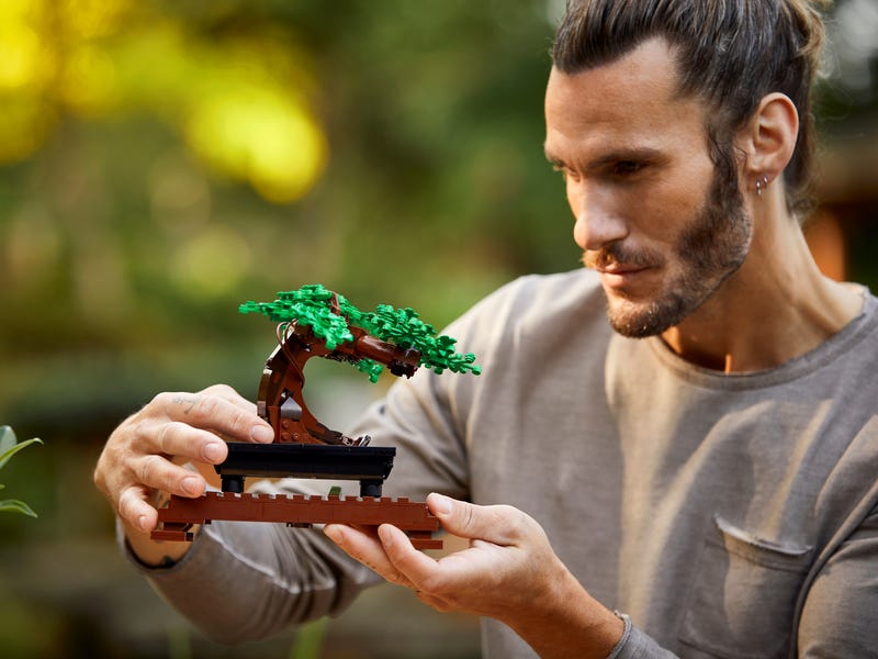 bonsai tree lego canada LEGO 10281